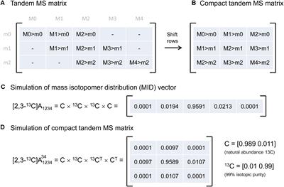 Tandem Mass Spectrometry for 13C Metabolic Flux Analysis: Methods and Algorithms Based on EMU Framework